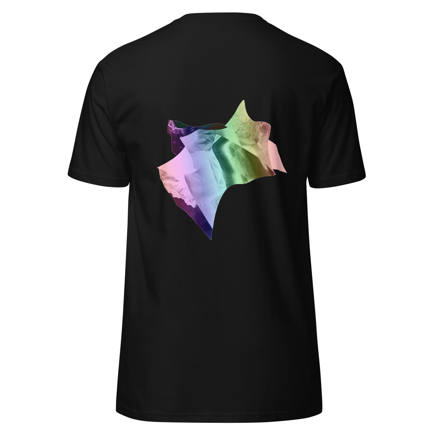 FORMULATE // T-Shirt (Limited Edition)