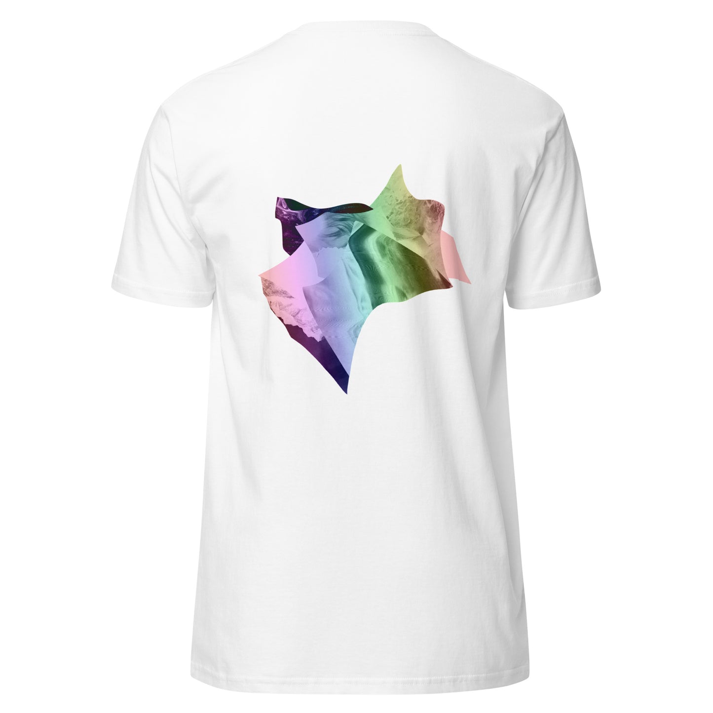 FORMULATE // T-Shirt (Limited Edition)
